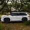 New Toyota Sequoia 2024 Redesign, Price, Spec